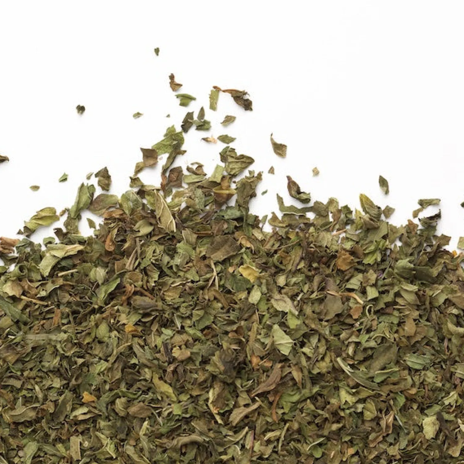 Ma Caféine Herbal Teas | In Bag>Camellia Sinensis | Organic & fair trade mint (50 sachets)